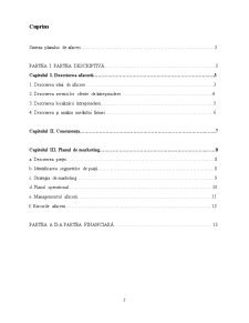 Plan de afaceri SC DEA STUDIO SRL - Pagina 2