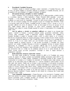 Rolul constituției europene în reformarea guvernanței comunitare - Pagina 5