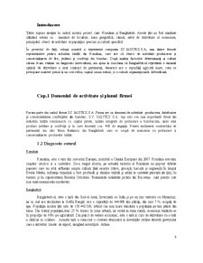Analiză interculturală românia-bangladesh - Pagina 3