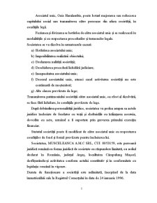 Diagnosticul rentabilității la nivelul întreprinderilor românești - Pagina 3