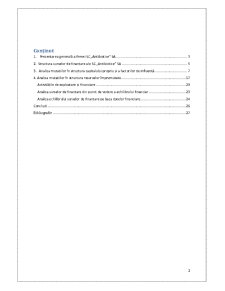 Analiza surselor de finanțare ale întreprinderii - Pagina 2