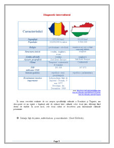 Marketing intercultural Romania-Ungaria - Pagina 5