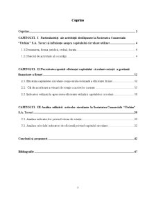 Analiza eficienței folosirii capitalului circulant la SC Utchim SA Tecuci și posibilități de creștere a eficienței - Pagina 3