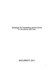Strategii de marketing pentru firma SC Framinor Grup SRL - Pagina 1