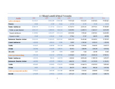 Evoluția indicatorilor din bilanțul contabil al unei bănci - Banca Votorantim - Pagina 5
