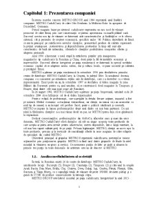 Analiza sistemului logistic la compania METRO România - Pagina 3