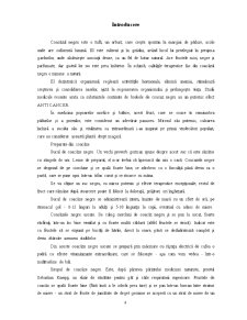 Maceratul din coacăz negru - Pagina 2