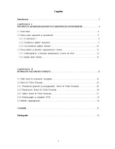Metode computaționale în studiul bursei de valori - Pagina 1