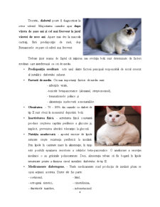 Diabetul zaharat la pisică - Pagina 4