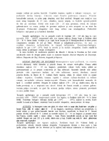 Zonarea soiurilor de struguri pentru masă în România - Pagina 5