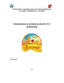 Fundamentarea prețului produselor SC Boromir - Pagina 1