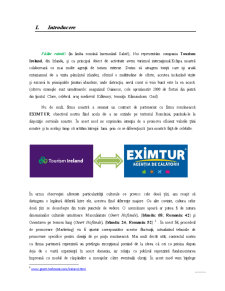 Management intercultural Romania-Irlanda - Pagina 3