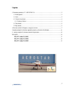 Analiza surselor de finanțare ale întreprinderii SC Aerostar SA - Pagina 2