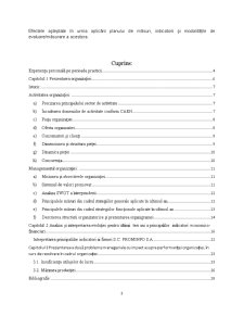 Raport practică SC Prominfo SA - Pagina 3