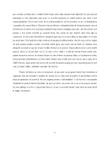 Raport practică SC Prominfo SA - Pagina 5