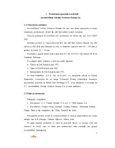 Analiza surselor de finanțare ale întreprinderii Arcelormittal Tubular Products Roman SA - Pagina 3