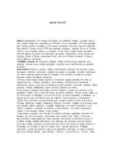 Analiza SWOT a județului Galați - Pagina 1