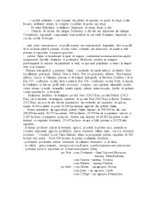 Analiza SWOT a județului Galați - Pagina 4