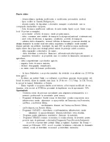 Analiza SWOT a județului Galați - Pagina 5