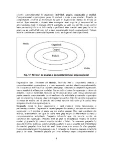 Relația între management și comportament organizațional - Pagina 4