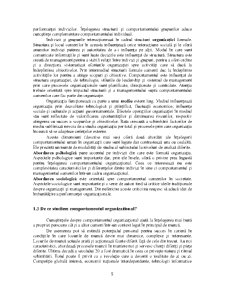 Relația între management și comportament organizațional - Pagina 5