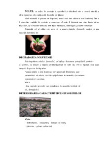 Prevenirea poluării solului - Pagina 1