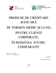 Produse de creditare bancară pe termen mediu și lung pentru clienți corporate în România - studiu comparativ - Pagina 1