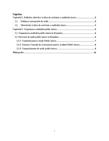 Obiective și forme de organizare în auditul intern - Pagina 2