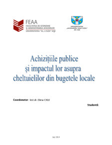 Achizițiile publice și impactul lor asupra cheltuielilor din bugetele locale - Pagina 1