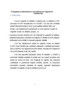 Fundamentarea și finanțarea cheltuielilor bugetare la Casa Județeană de Asigurări de Sănatate Iași - Pagina 3