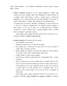 Analiza diagnostic strategică a SC Protecția Plantelor SRL - Pagina 5