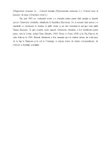 Dăunătorii castanului - Pagina 3