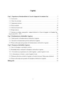 Fundamentarea și execuția cheltuielilor publice la casa de asigurări Iași - Pagina 2