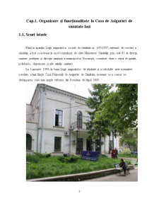Fundamentarea și execuția cheltuielilor publice la casa de asigurări Iași - Pagina 3