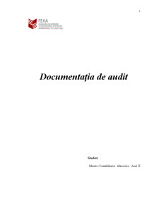 Documentația în audit - Pagina 1