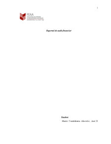 Raportul de audit financiar - Pagina 1