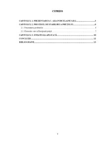 Fundamentarea prețurilor produselor - SC AXA Porcelaine SRL - Pagina 2