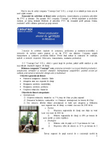 Aspectele legate de motivație și recompense în domeniul ECTS SC Casurapi-Com SRL - Pagina 4