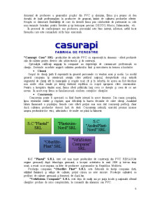 Aspectele legate de motivație și recompense în domeniul ECTS SC Casurapi-Com SRL - Pagina 5