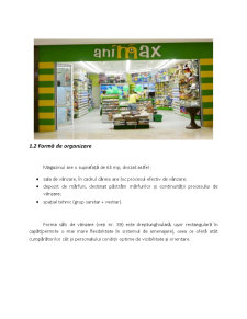 Tehnici de merchandising în magazinul Animax - Pagina 4