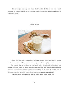 Expertiză produselor derivate din lapte de soia - Pagina 5