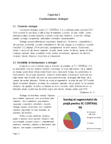 Analiza la SC CENTRAL SA privind fundamentarea, elaborarea, implementarea și evaluarea strategiei generale - Pagina 2