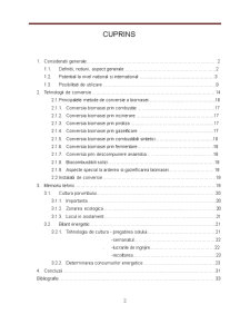 Proiectarea tehnologiei de procesare și valorificare a reziduurilor agricole - porumb - Pagina 2