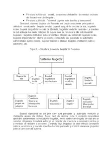 Sistemul bugetar în România - Pagina 5