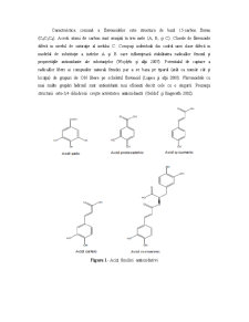 Compuși cu activitate antioxidantă din plante aromate - Pagina 4