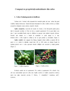 Compuși cu proprietăți antioxidante din cafea - Pagina 1