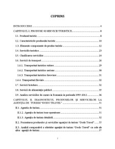 Diversificarea produselor și serviciilor studiu de caz Dodo Travel - Pagina 2