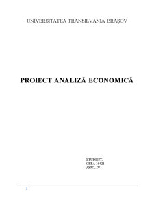 Analiză economică - Pagina 1