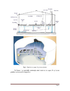 Studiul privind folosirea ecranelor plutitoare interioare la rez. de prod. petr. cu capac fix - Pagina 5