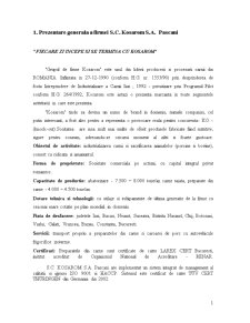 Prezentare SC Kosarom SA Pascani - Pagina 1